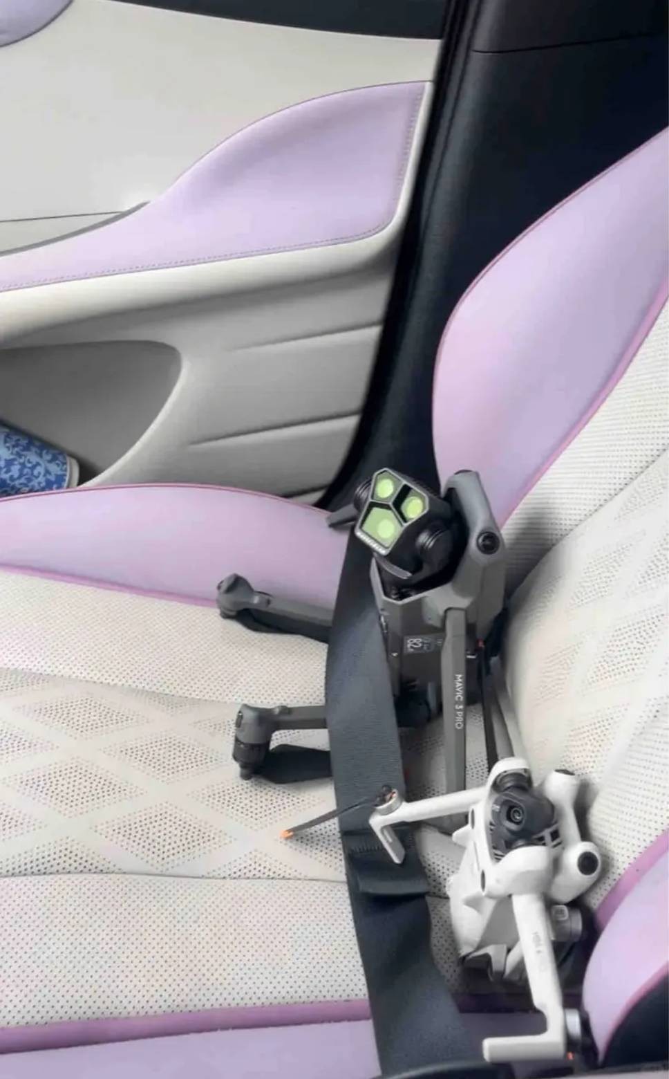 3DM����һ�̵�1642�� ��Ů��β��Ϊ�λ��Զ�����