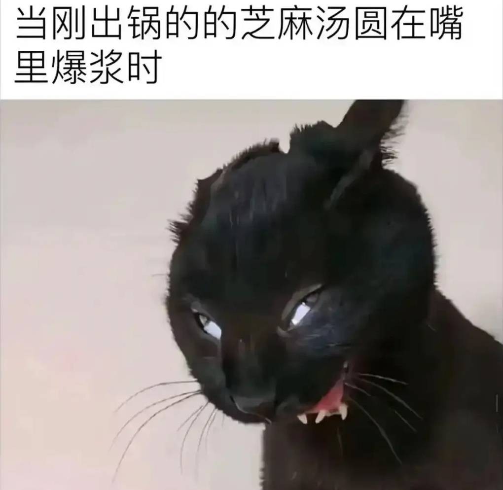 3DM����һ�̵�1642�� ��Ů��β��Ϊ�λ��Զ�����