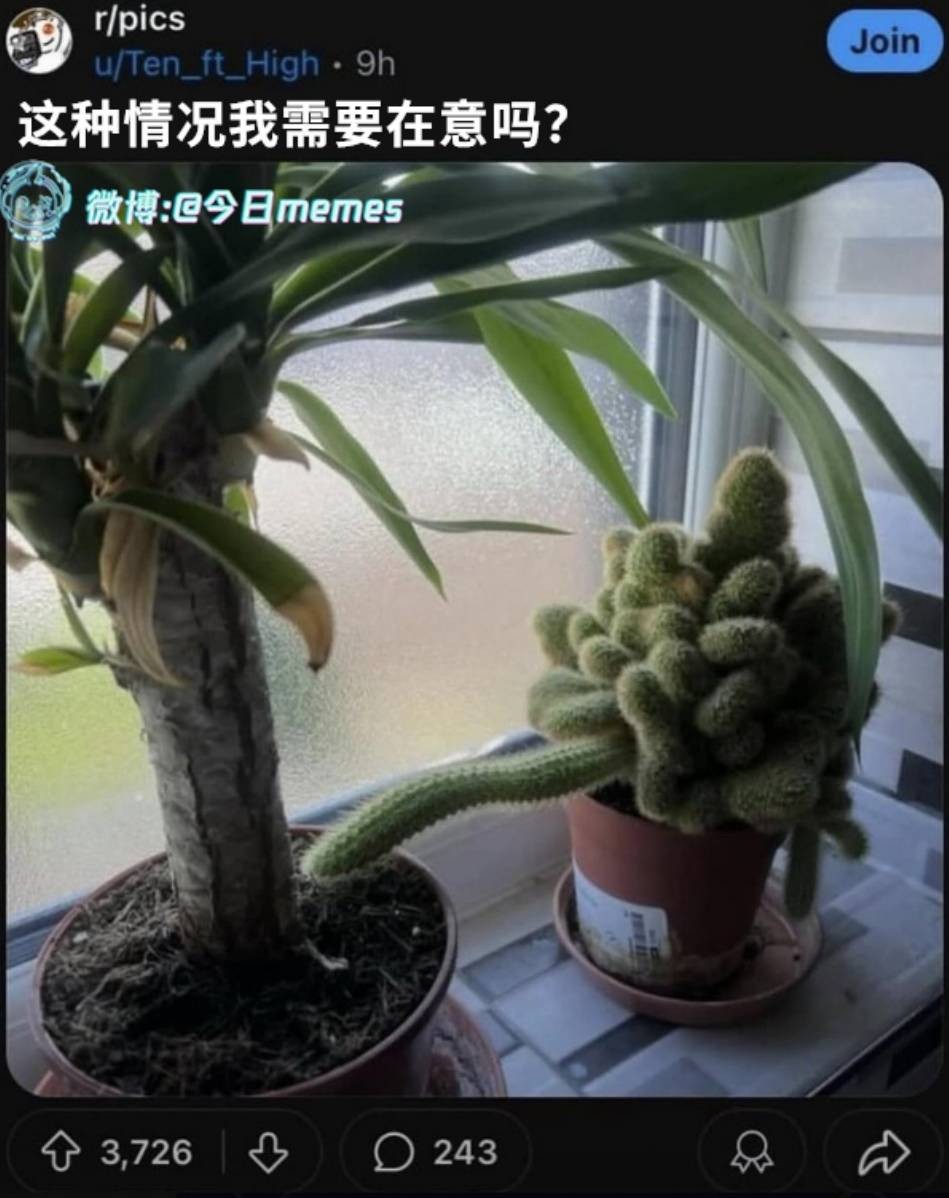 3DM����һ�̵�1643�� ��Щֱ������������