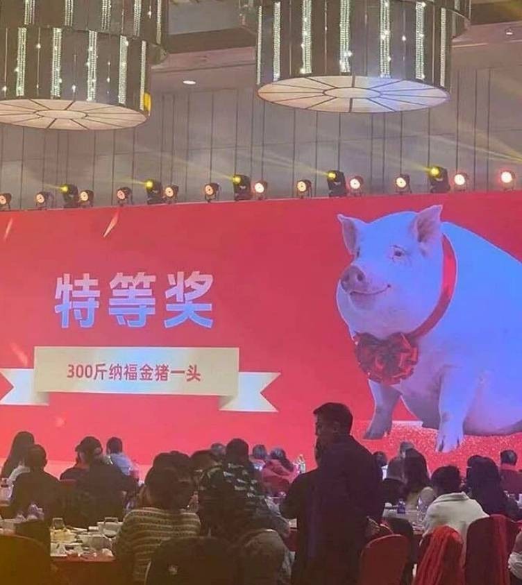 3DM����һ�̵�1643�� ��Щֱ������������