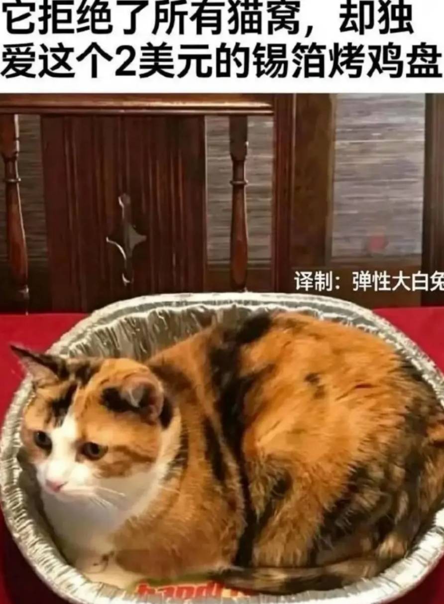 3DM����һ�̵�1643�� ��Щֱ������������