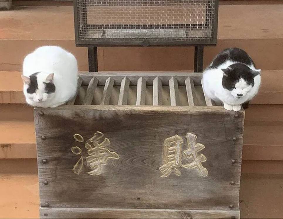 ���帣����ͼ�Ʒ�ϵ�� ����һ��������ɧ��ȫ����