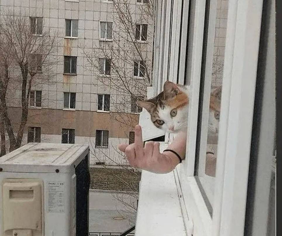 ���帣����ͼ�Ʒ�ϵ�� ����һ��������ɧ��ȫ����