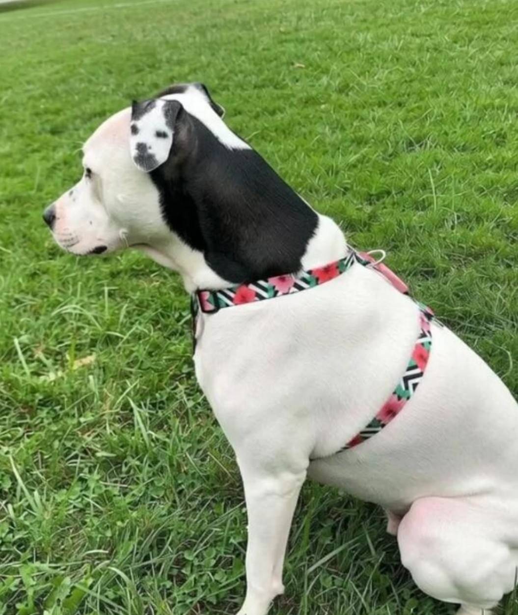 ���帣����ͼ�Ʒ�ϵ�� ����һ��������ɧ��ȫ����