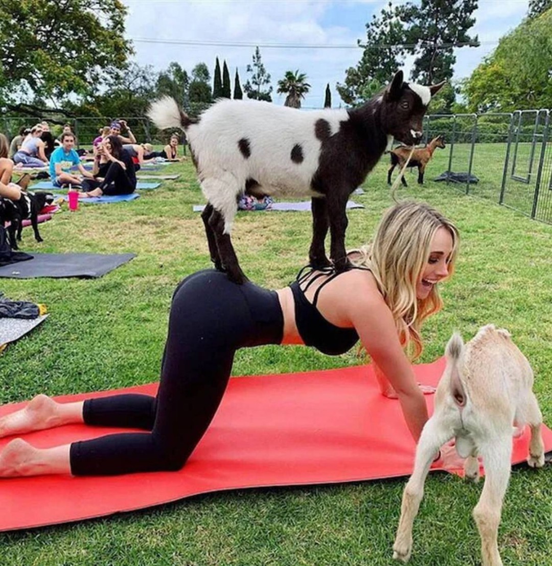 ���帣����ͼ�Ʒ�ϵ�� ����һ��������ɧ��ȫ����