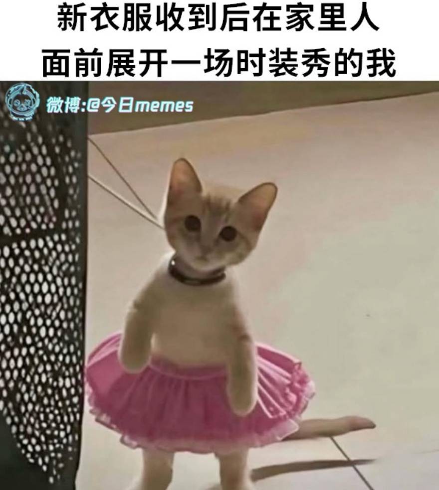 3DM����һ�̵�1644�� ��˿��Ů�ڴ������н���