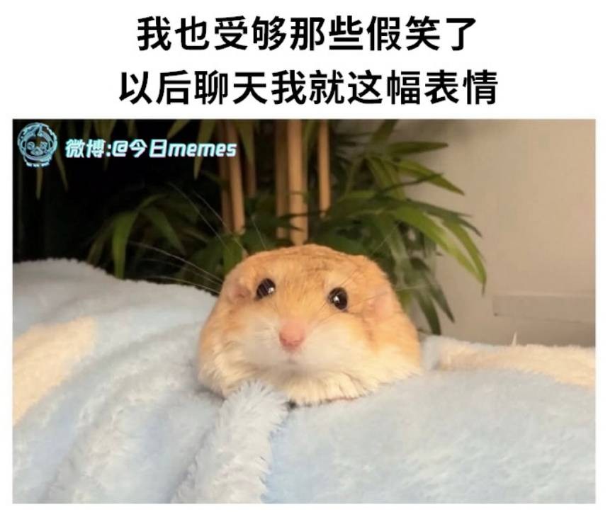 3DM����һ�̵�1644�� ��˿��Ů�ڴ������н���