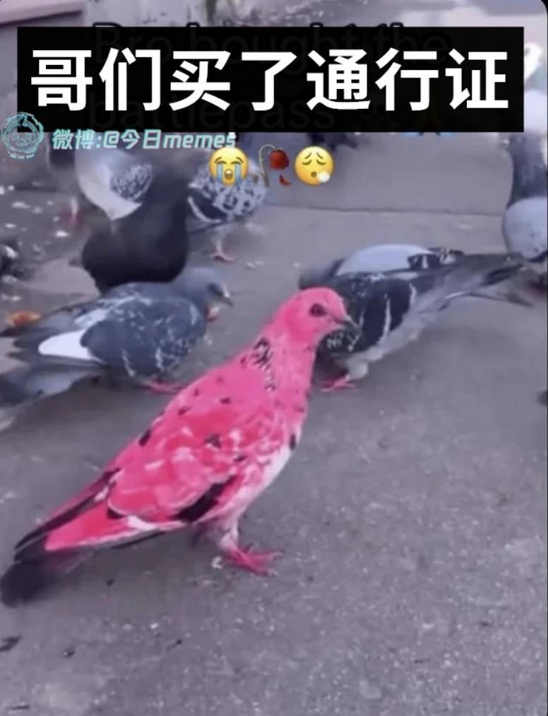 3DM����һ�̵�1645�� ��Բ�����ִ����е���Ů