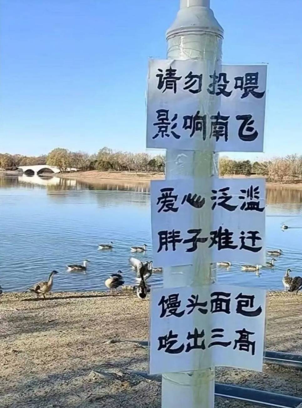 3DM����һ�̵�1645�� ��Բ�����ִ����е���Ů