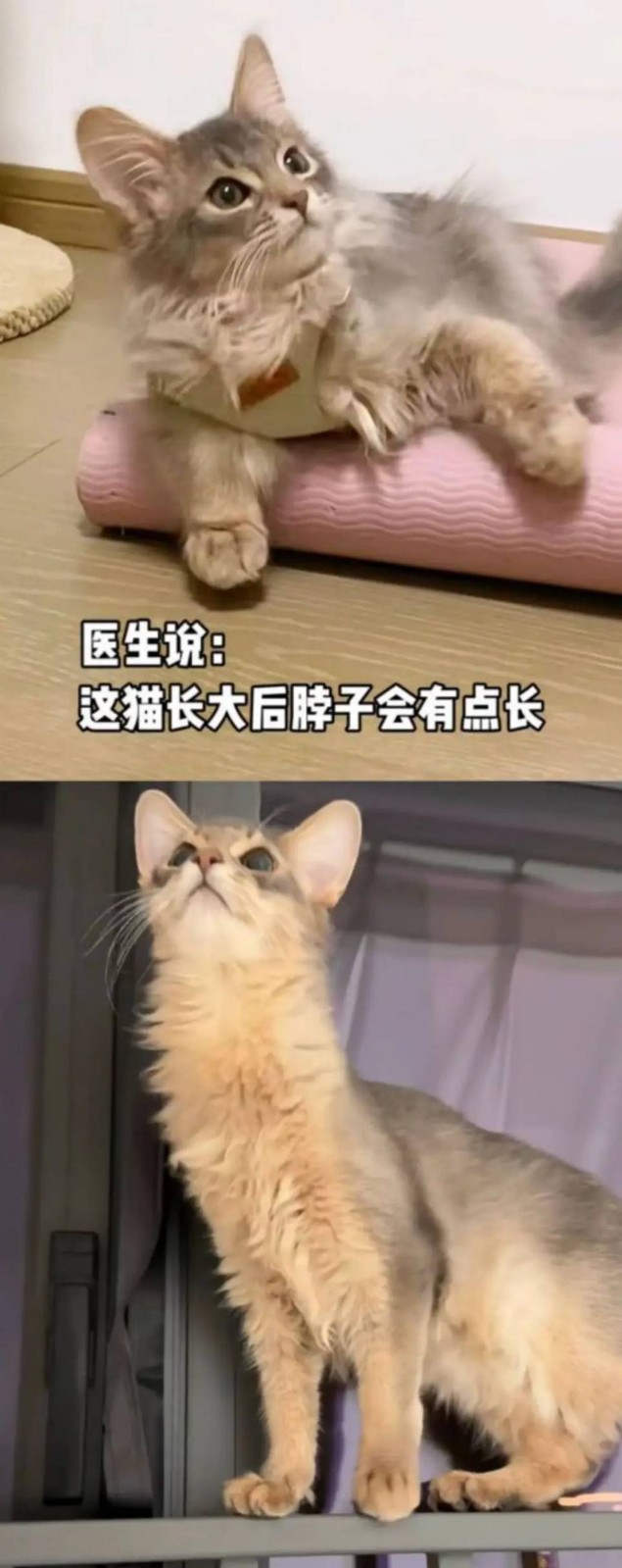 3DM����һ�̵�1645�� ��Բ�����ִ����е���Ů