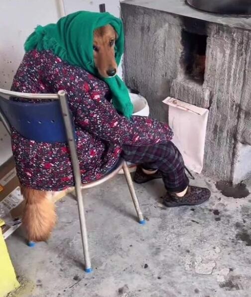 3DM����һ�̵�1646�� �ҿ����Ҳ�Ƿ����̴�