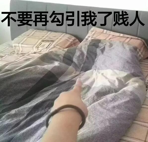 3DM����һ�̵�1646�� �ҿ����Ҳ�Ƿ����̴�