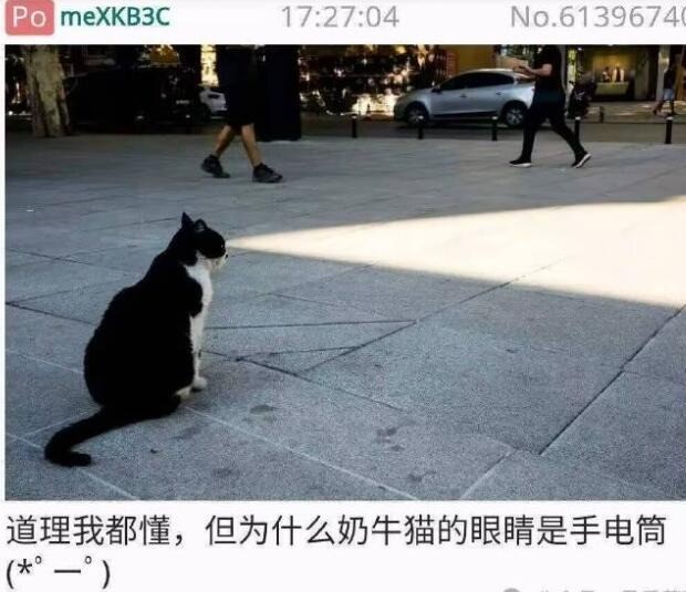 3DM����һ�̵�1646�� �ҿ����Ҳ�Ƿ����̴�