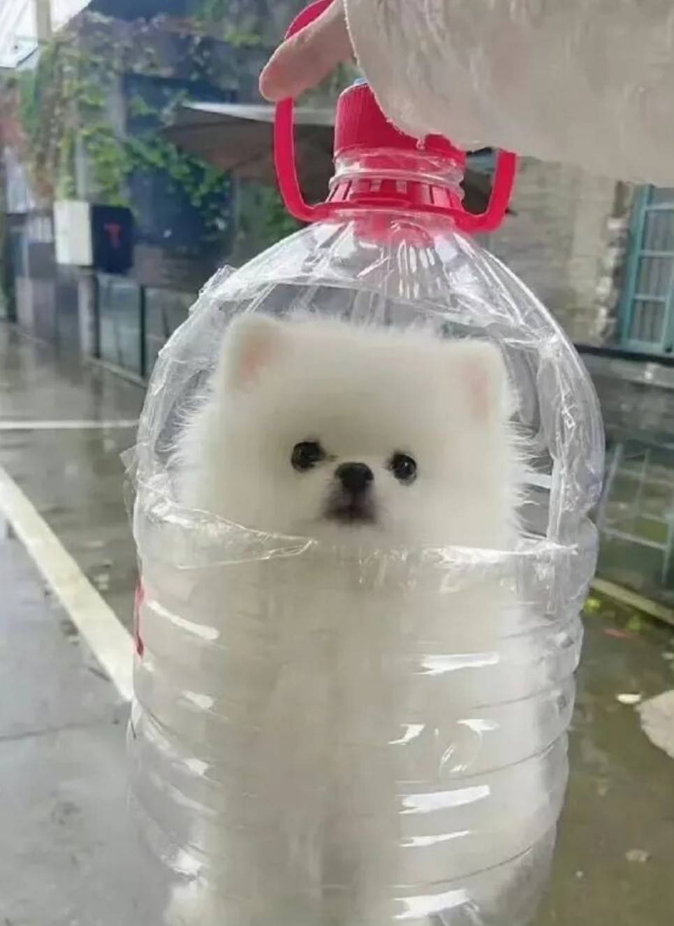 ��һ�ں���ͼ�Ʒ�ϵ�� ��Ů���·����������㽡��