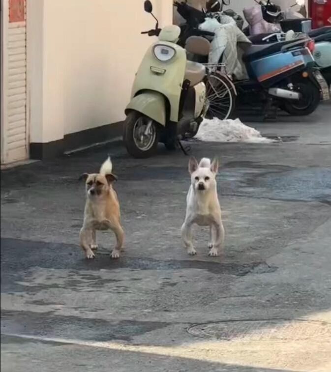 3DM����һ�̵�1647�� �������߿��⳵�ƾ��Ǻó�