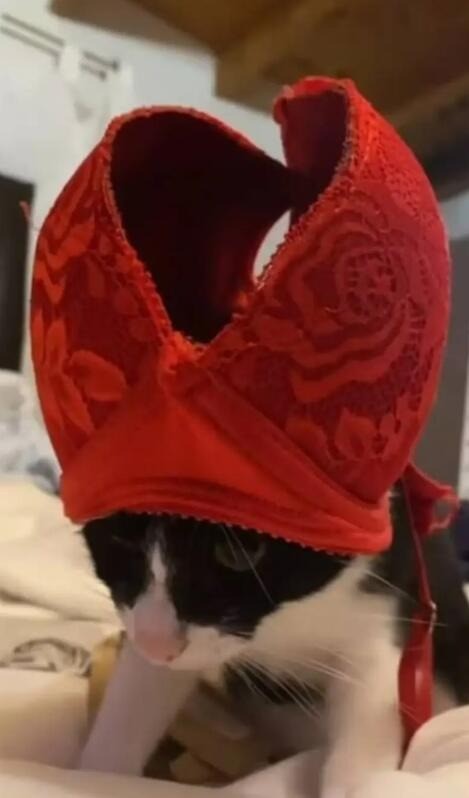 3DM����һ�̵�1647�� �������߿��⳵�ƾ��Ǻó�