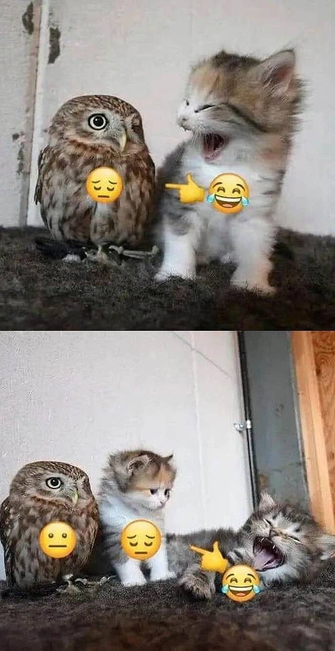 3DM����һ�̵�1648�� �ѵ��Ͻ�һ�ξͱ�͵�ģ�