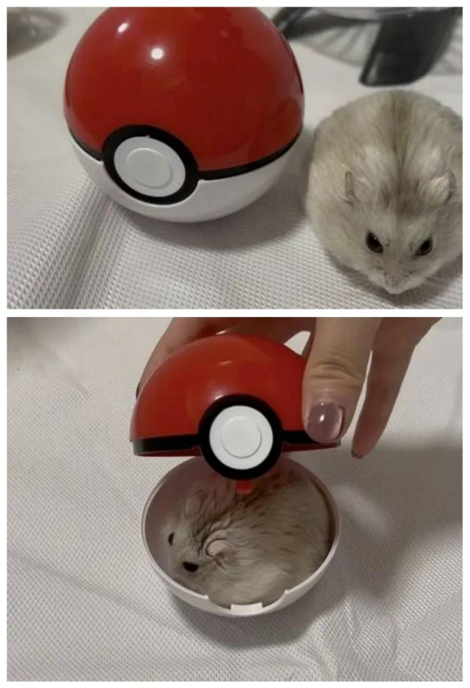 3DM����һ�̵�1648�� �ѵ��Ͻ�һ�ξͱ�͵�ģ�