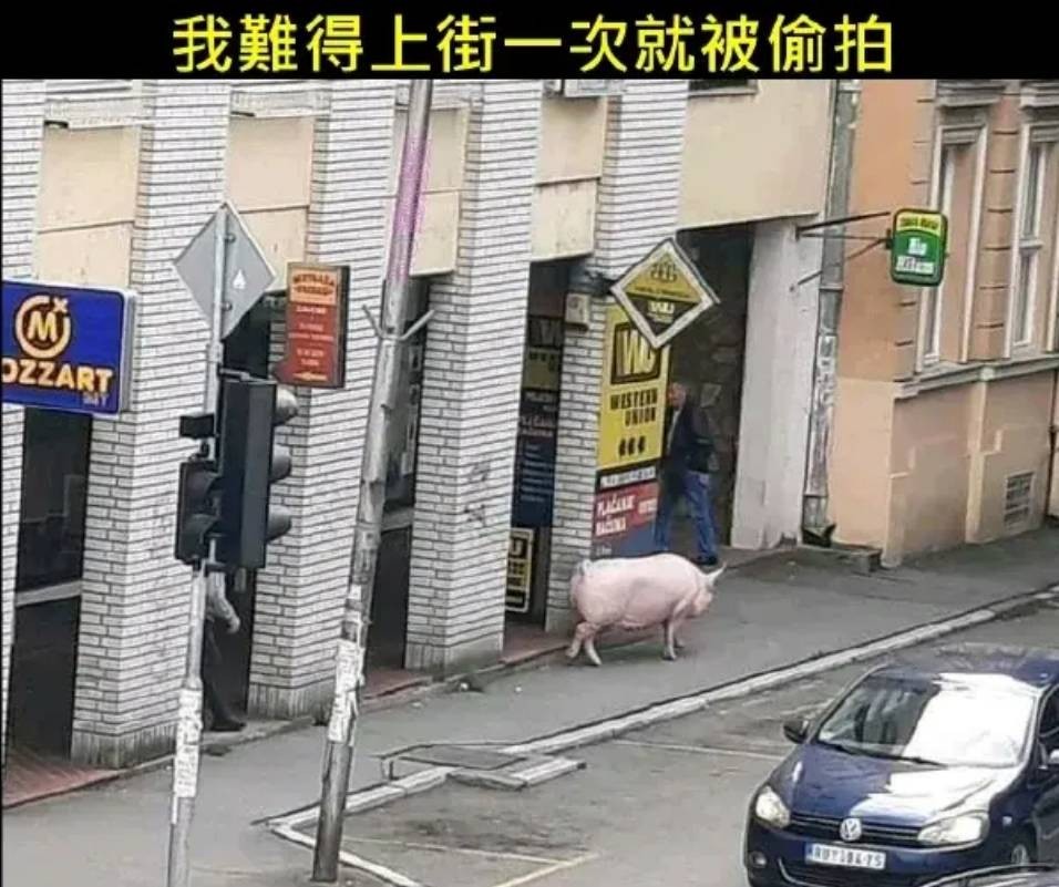 3DM����һ�̵�1648�� �ѵ��Ͻ�һ�ξͱ�͵�ģ�