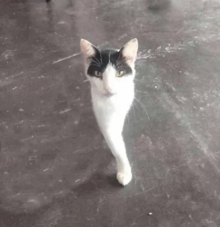 3DM����һ�̵�1648�� �ѵ��Ͻ�һ�ξͱ�͵�ģ�