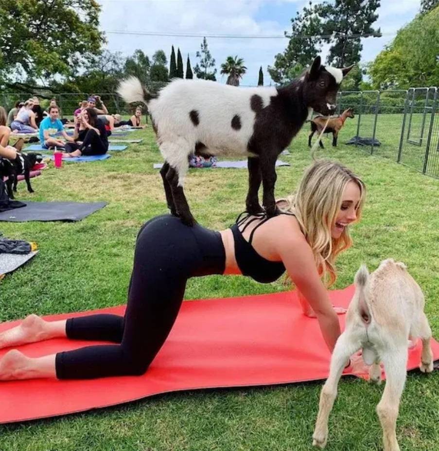 3DM����һ�̵�1649�� �Ȳ�ʱ��Լ�ŵ���ˬ��ζ��