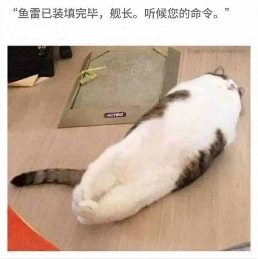 3DM����һ�̵�1649�� �Ȳ�ʱ��Լ�ŵ���ˬ��ζ��