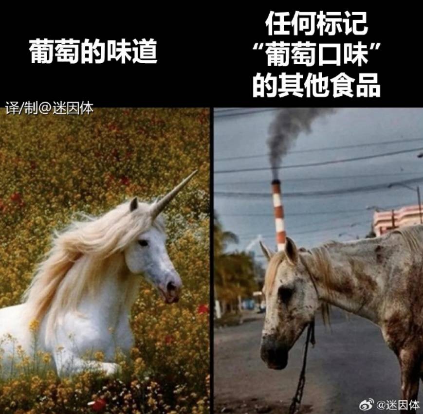 3DM����һ�̵�1649�� �Ȳ�ʱ��Լ�ŵ���ˬ��ζ��