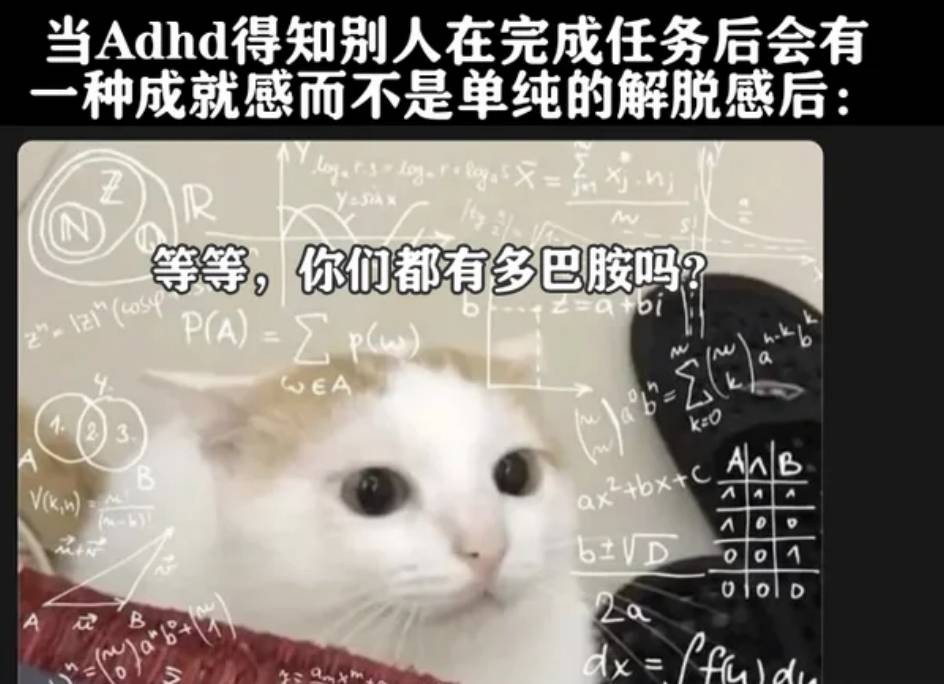 3DM����һ�̵�1650�� ս���ү����������ܽ�����