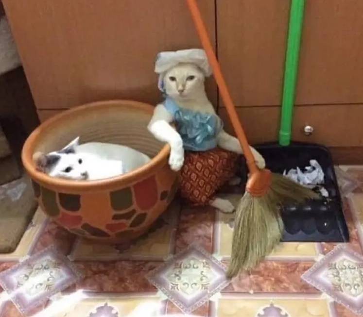 3DM����һ�̵�1650�� ս���ү����������ܽ�����