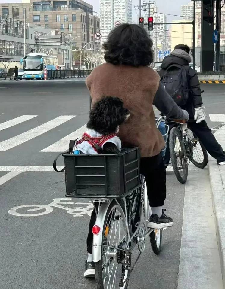 3DM����һ�̵�1650�� ս���ү����������ܽ�����