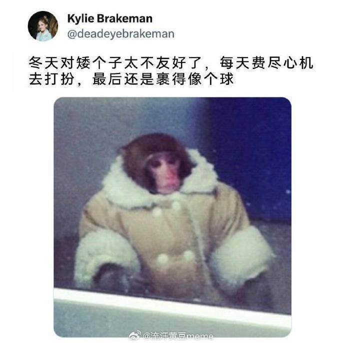 3DM����һ�̵�1651�� ��˿��Ů��̧���ջ�