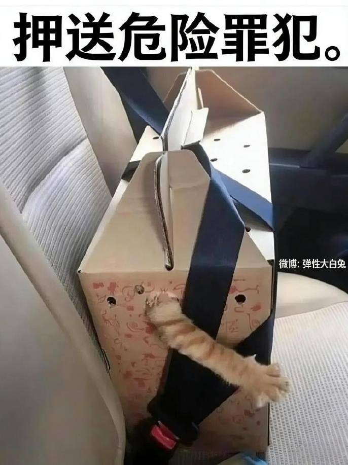 3DM����һ�̵�1651�� ��˿��Ů��̧���ջ�