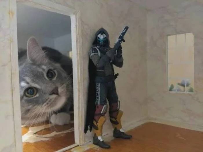 3DM����һ�̵�1651�� ��˿��Ů��̧���ջ�