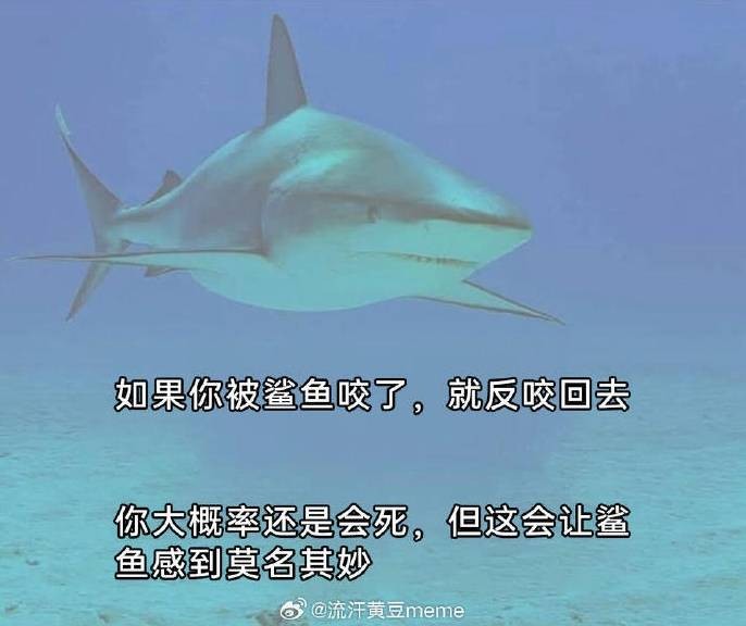 3DM����һ�̵�1652�� ����Ů��ζ������Ľ�ޱ�