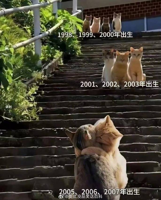 3DM����һ�̵�1652�� ����Ů��ζ������Ľ�ޱ�