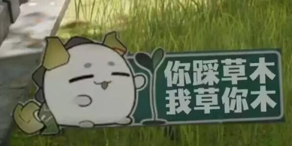 3DM����һ�̵�1652�� ����Ů��ζ������Ľ�ޱ�