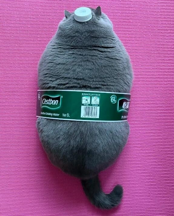 3DM����һ�̵�1652�� ����Ů��ζ������Ľ�ޱ�