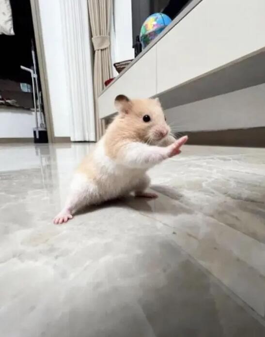 3DM����һ�̵�1652�� ����Ů��ζ������Ľ�ޱ�