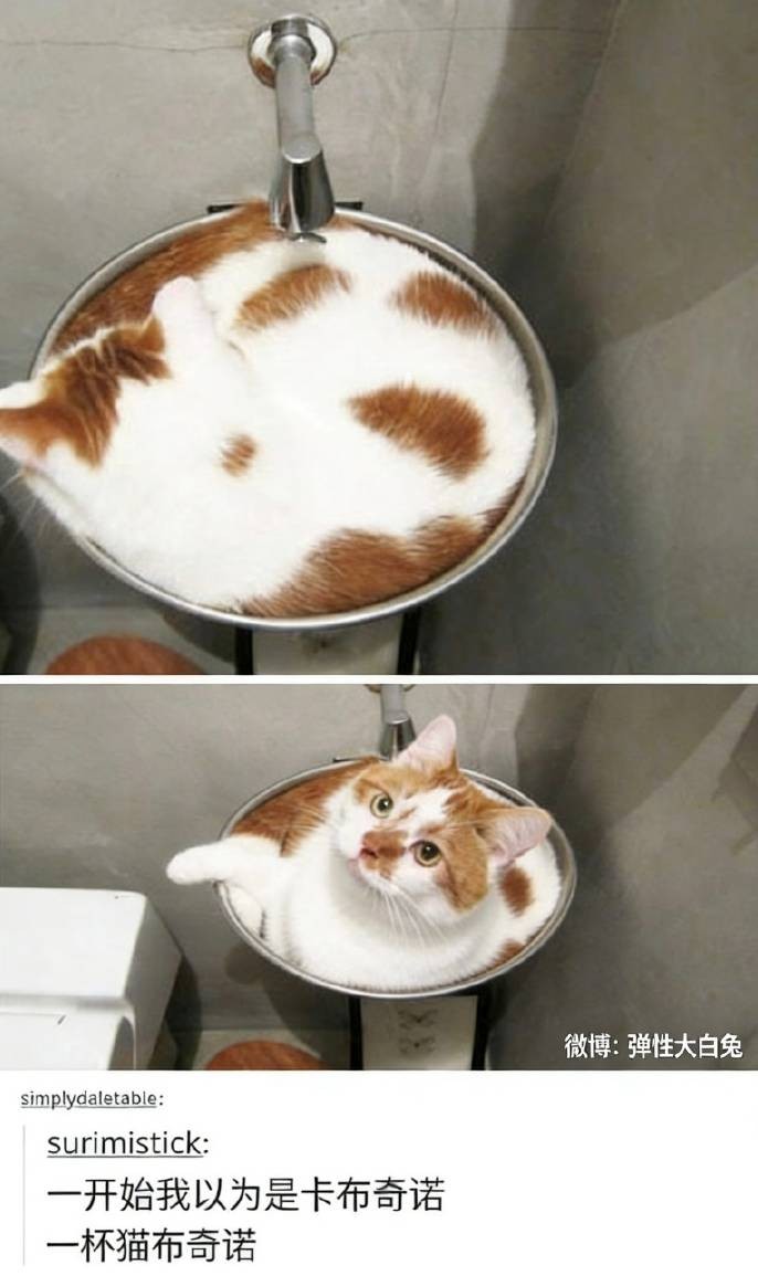 3DM����һ�̵�1653�� ������ż����˿��Ƭ�Ⱥӣ�