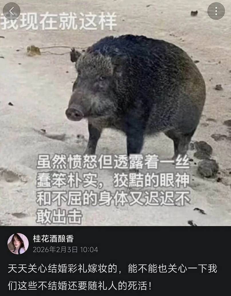 3DM����һ�̵�1655�� �л������Ů����ʲô����