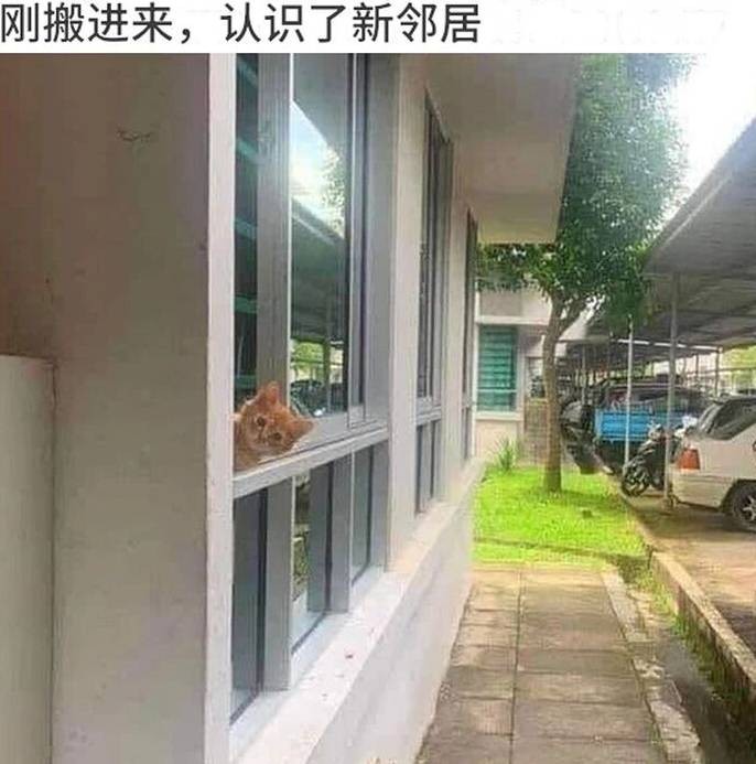 3DM����һ�̵�1655�� �л������Ů����ʲô����