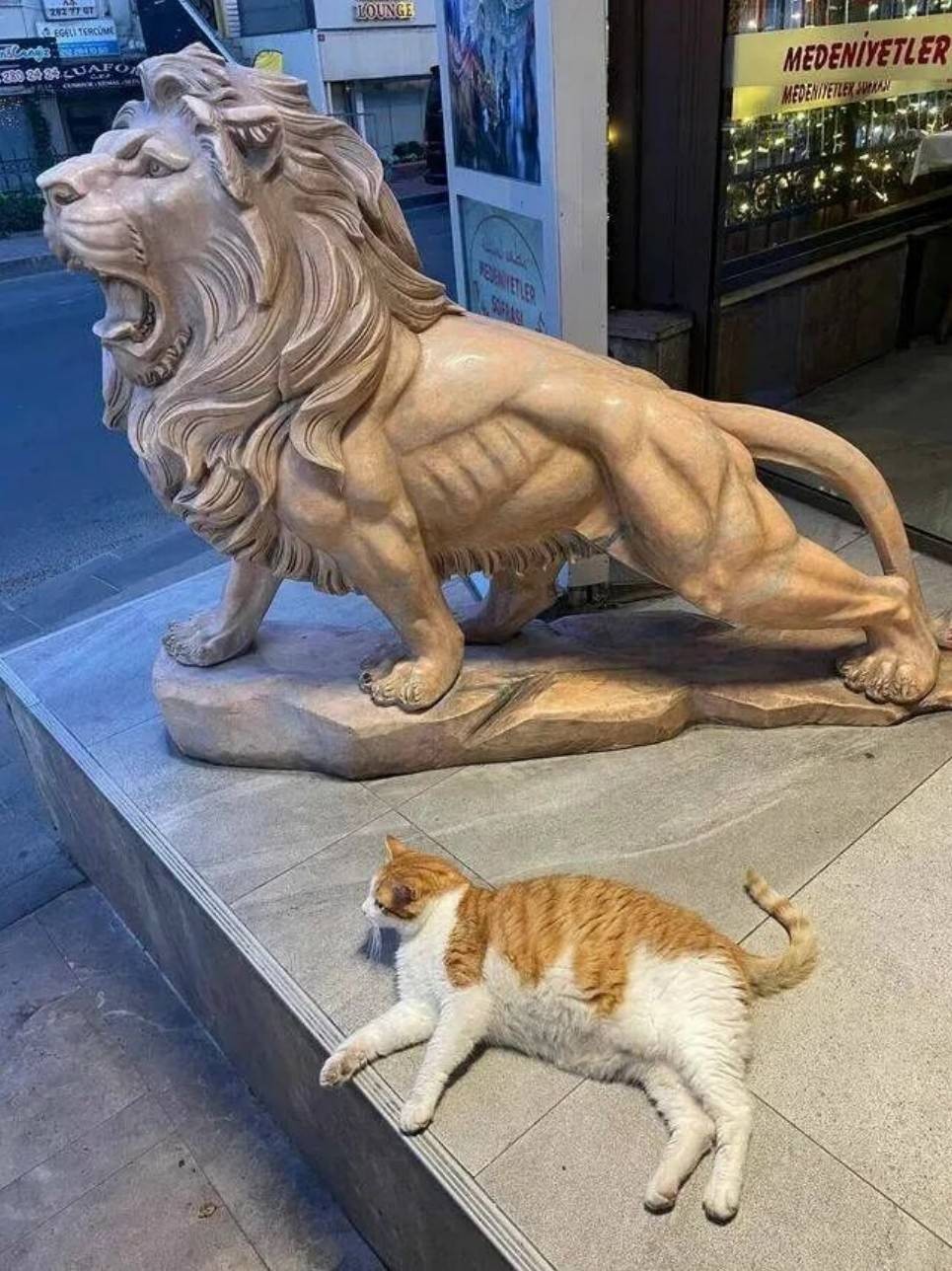 ���帣����ͼ�Ʒ�ϵ�� Ů����ҹ��į������������