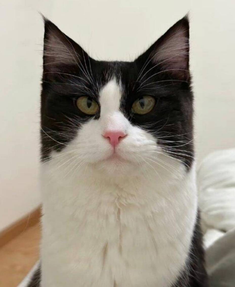 3DM����һ�̵�1656�� ��Ů��ô����Ұ�����ࣿ