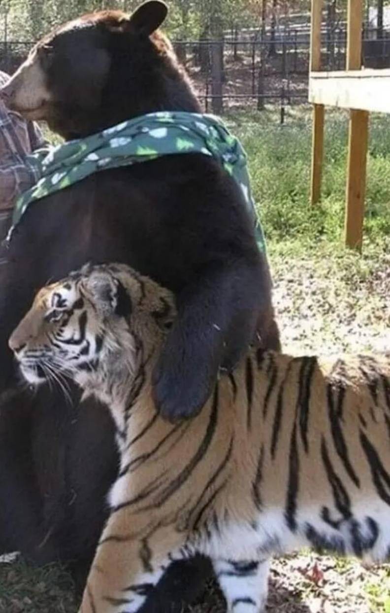 3DM����һ�̵�1656�� ��Ů��ô����Ұ�����ࣿ