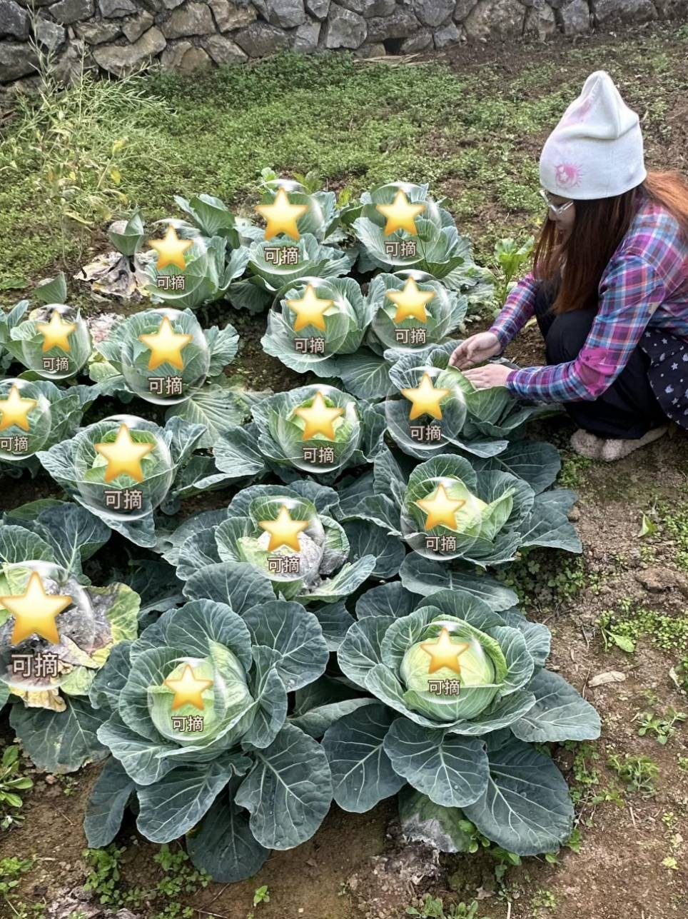 3DM����һ�̵�1657�� ��˿����Ů��̤��������