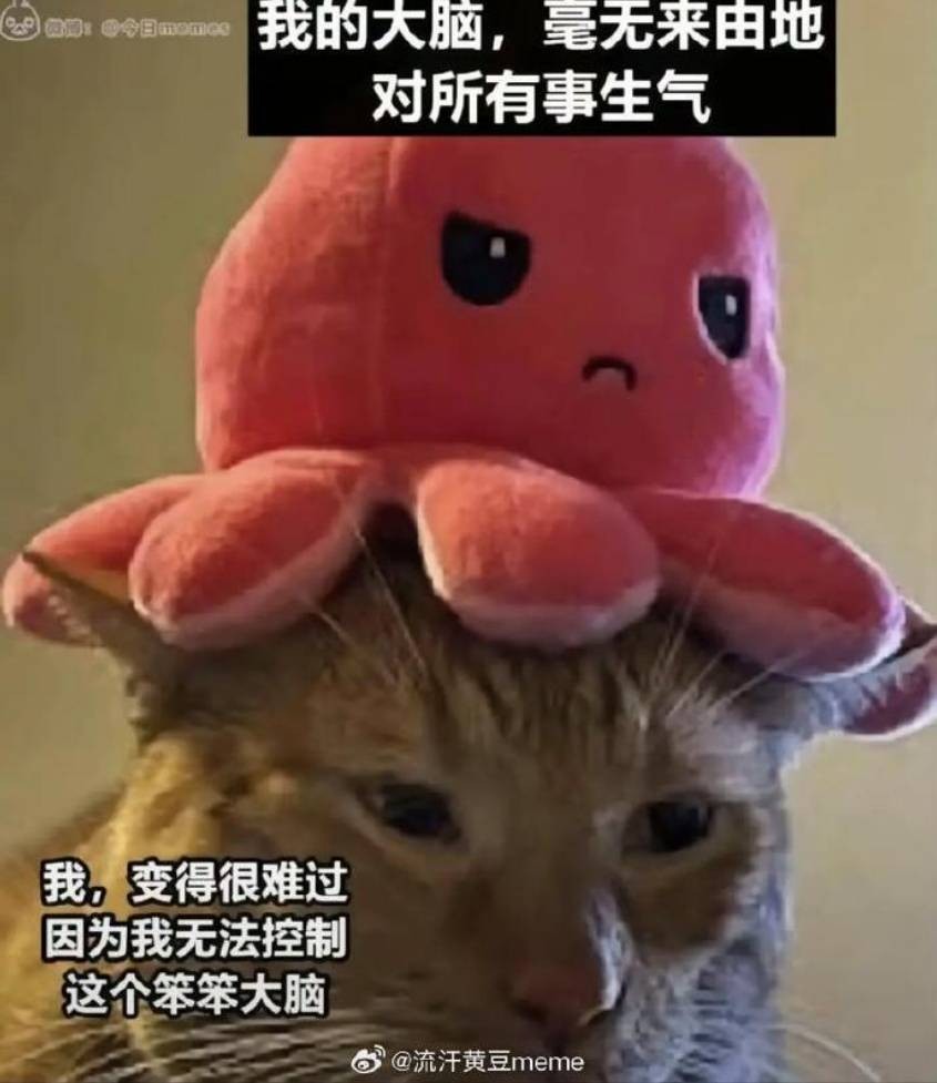 3DM����һ�̵�1657�� ��˿����Ů��̤��������