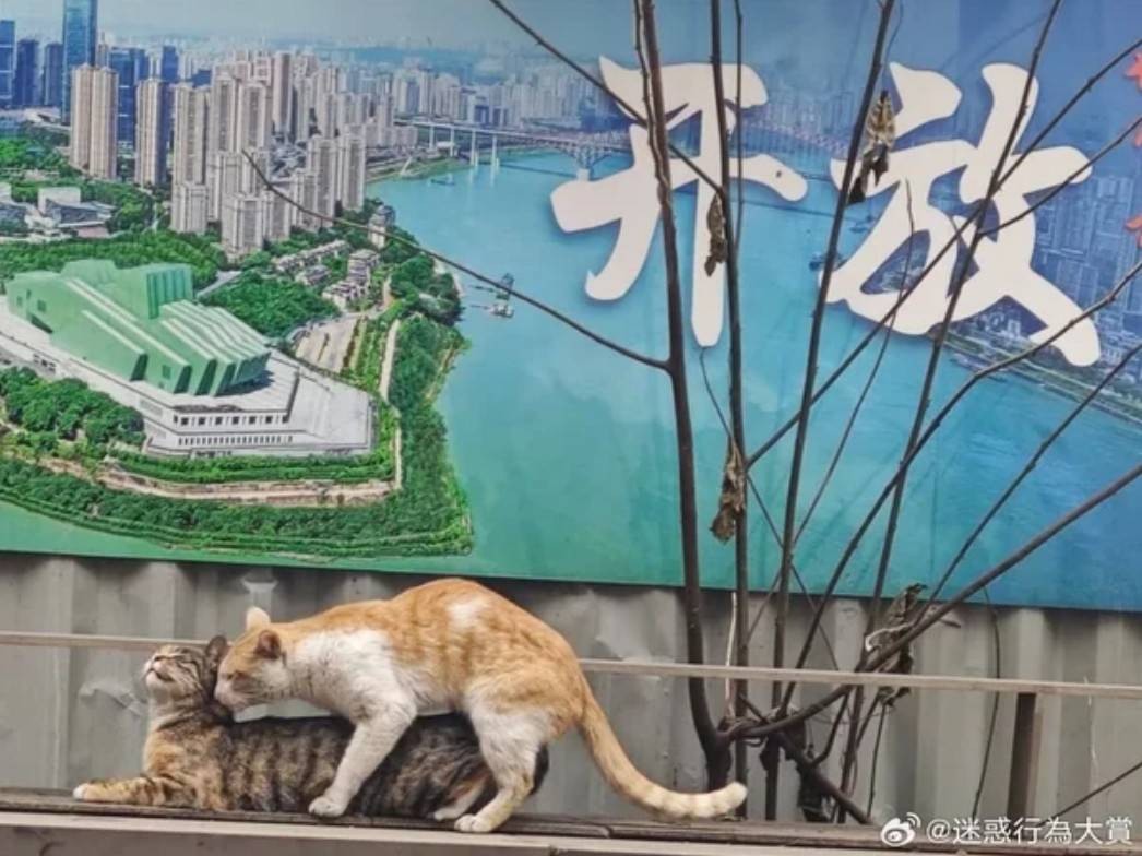 ��һ�ں���ͼ�Ʒ�ϵ�� ��������þ߱�ʲô������