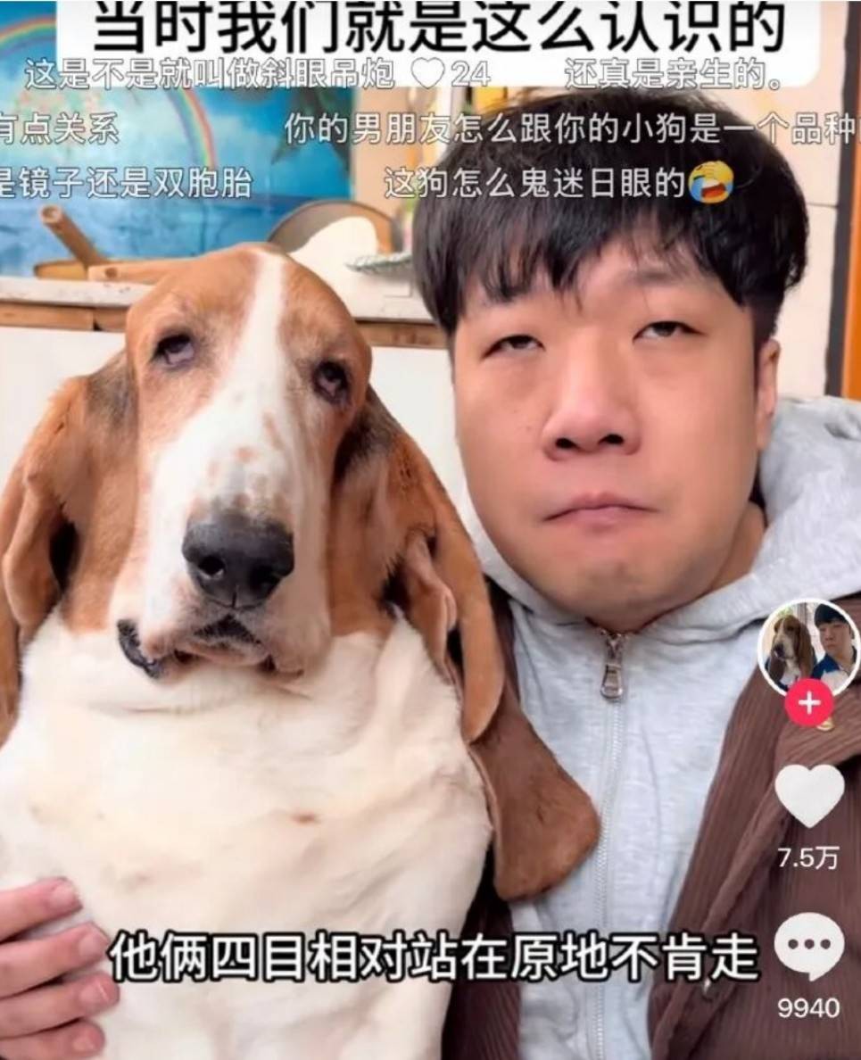 ��һ�ں���ͼ�Ʒ�ϵ�� ��������þ߱�ʲô������