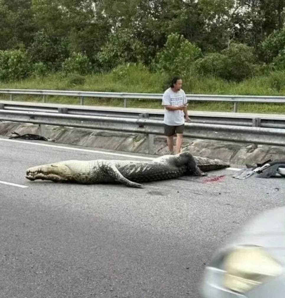 ��һ�ں���ͼ�Ʒ�ϵ�� ��������þ߱�ʲô������