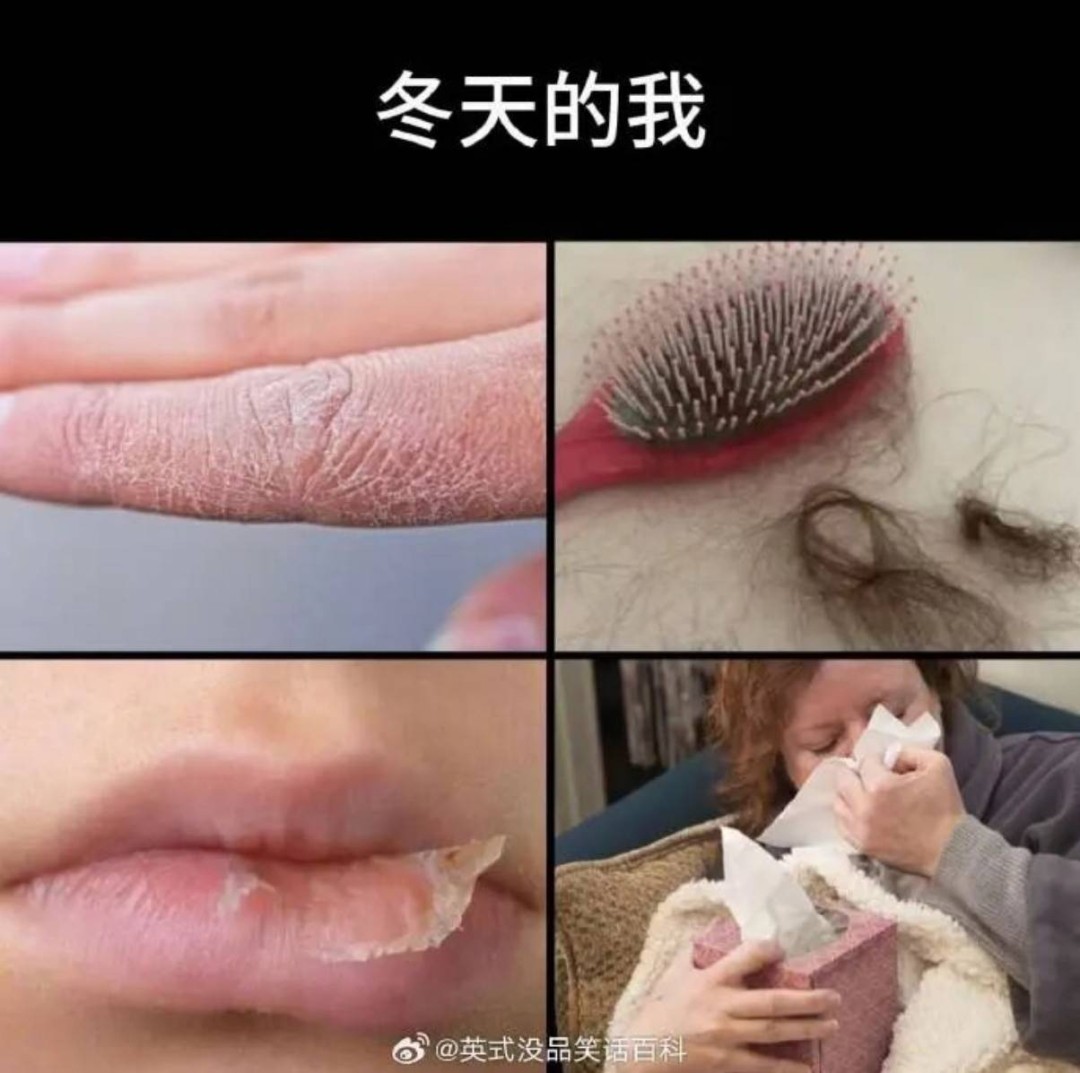 ��һ�ں���ͼ�Ʒ�ϵ�� ��������þ߱�ʲô������